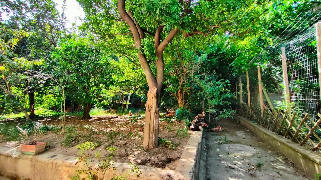 Casa Vacanza "Nonna Matilde" A Meta Di Sorrento, 600Mt Dal Mare, Casa Per 4 Eksteriør billede